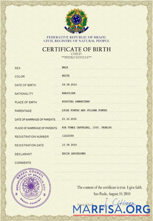 Blank Brazil vital record birth certificate PSD template